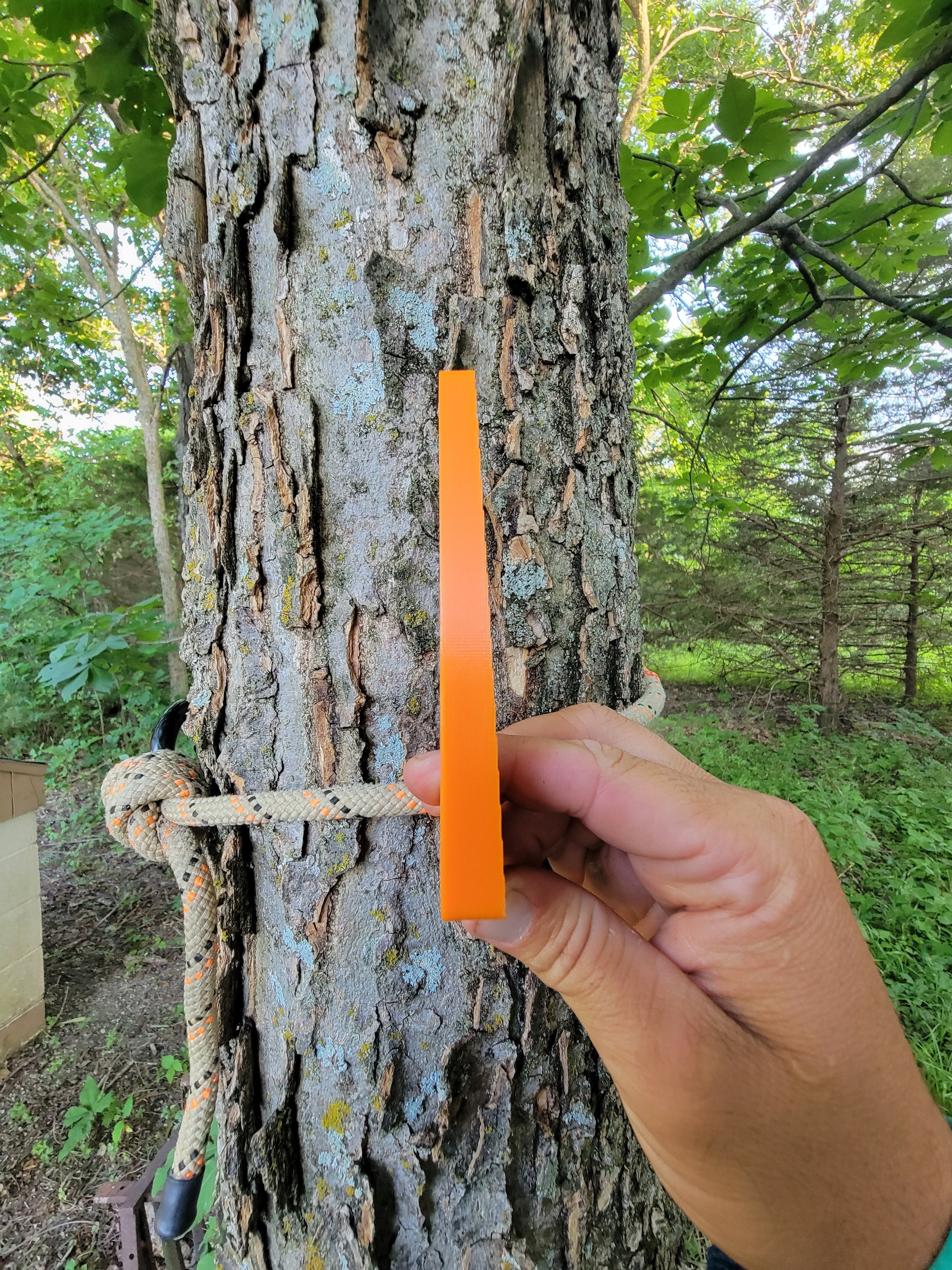 Tether Bow Hanger (TBH)