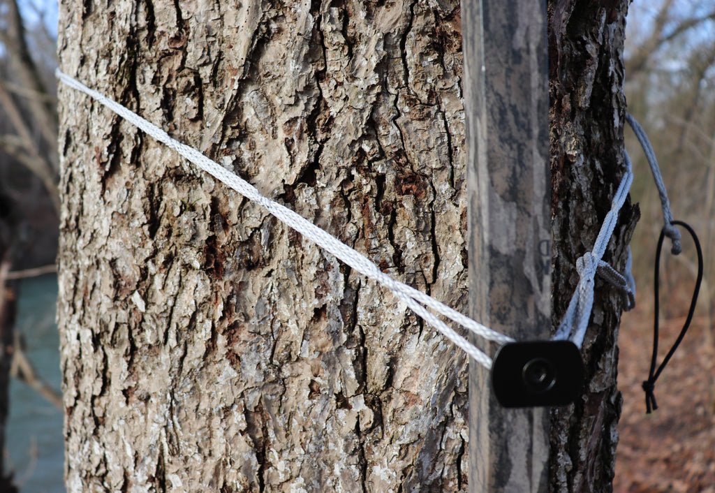 88" 7/64" AmSteel® Daisy Chain