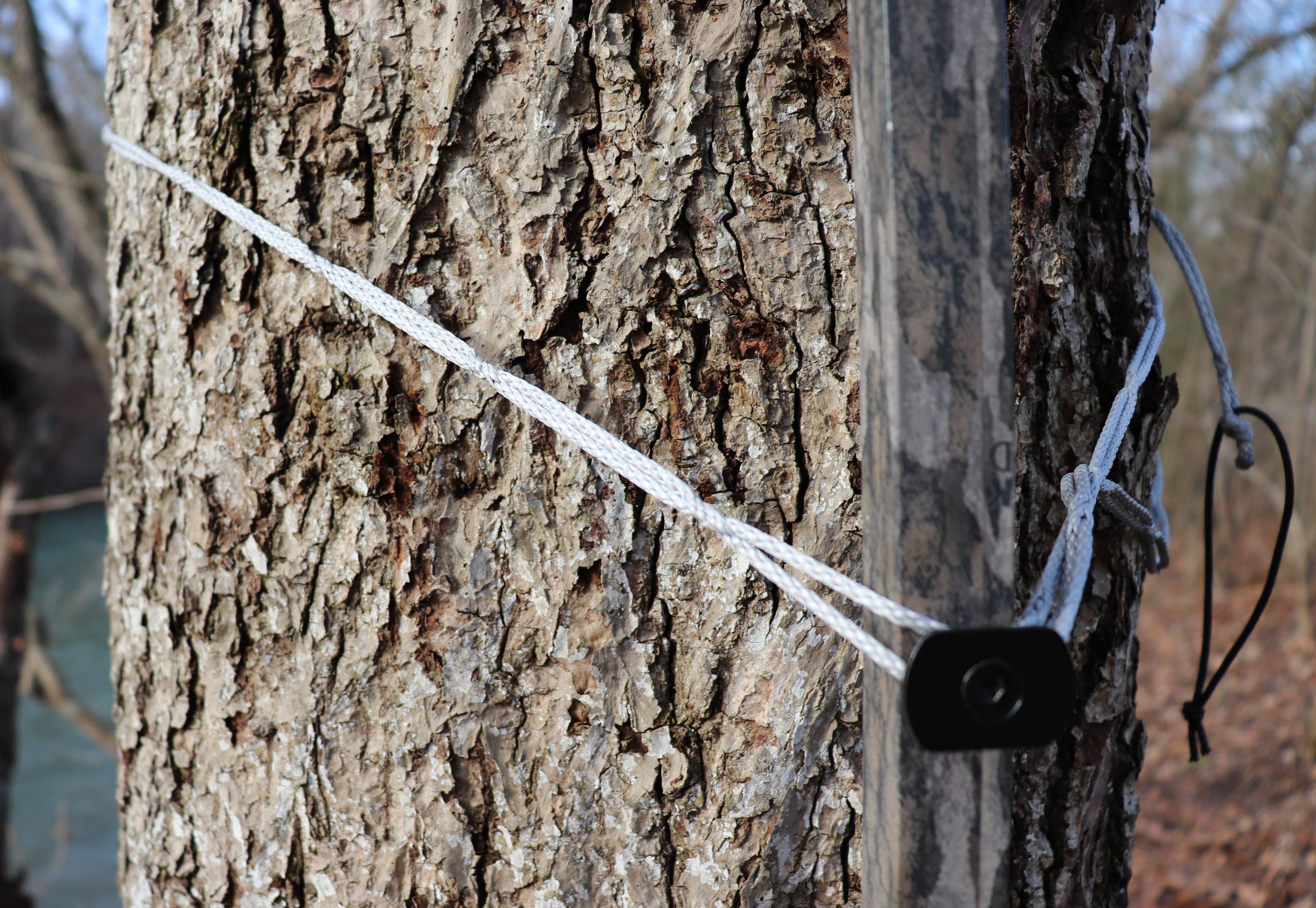 88" 7/64" AmSteel® Daisy Chain