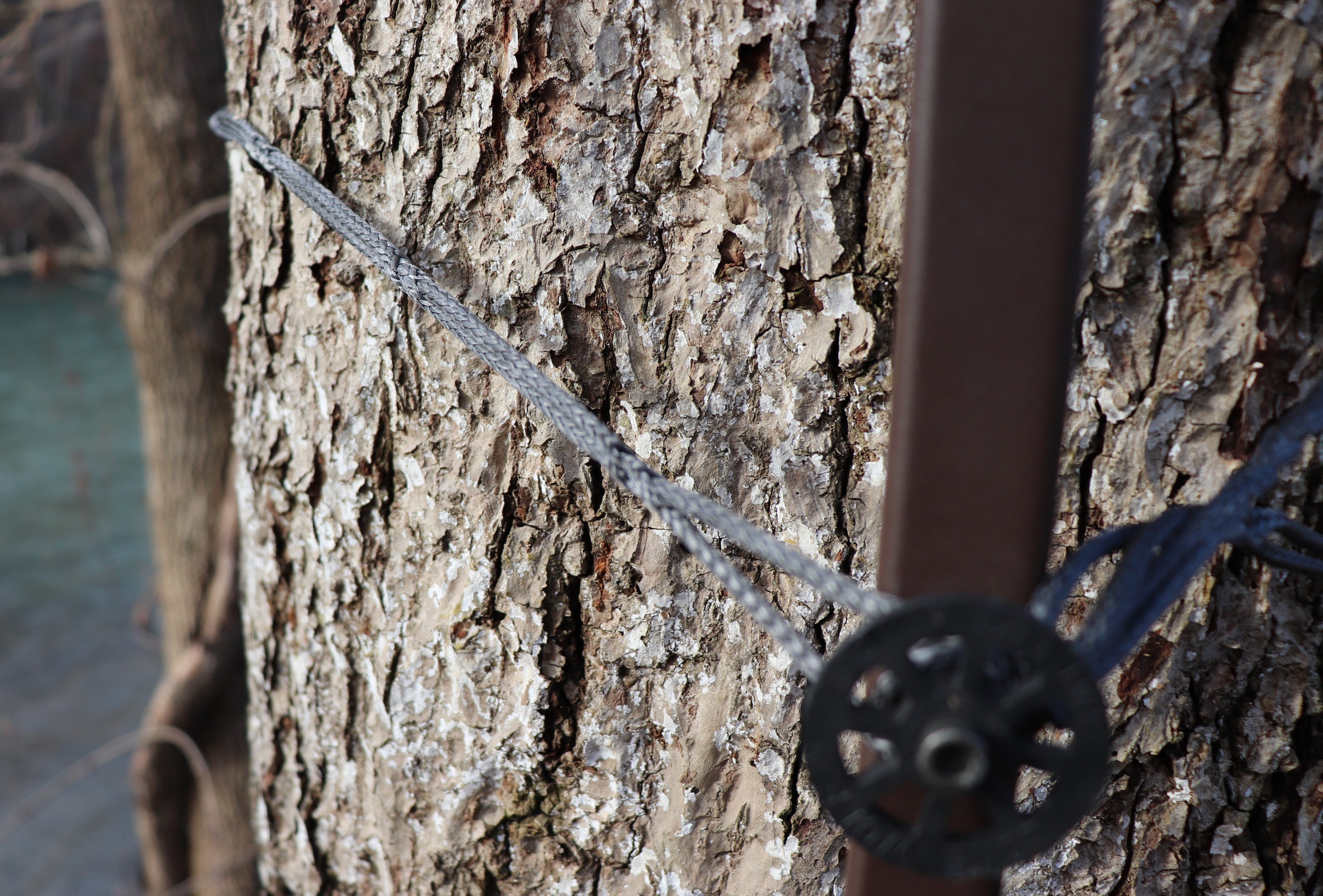88" 1/8" AmSteel® Daisy Chain