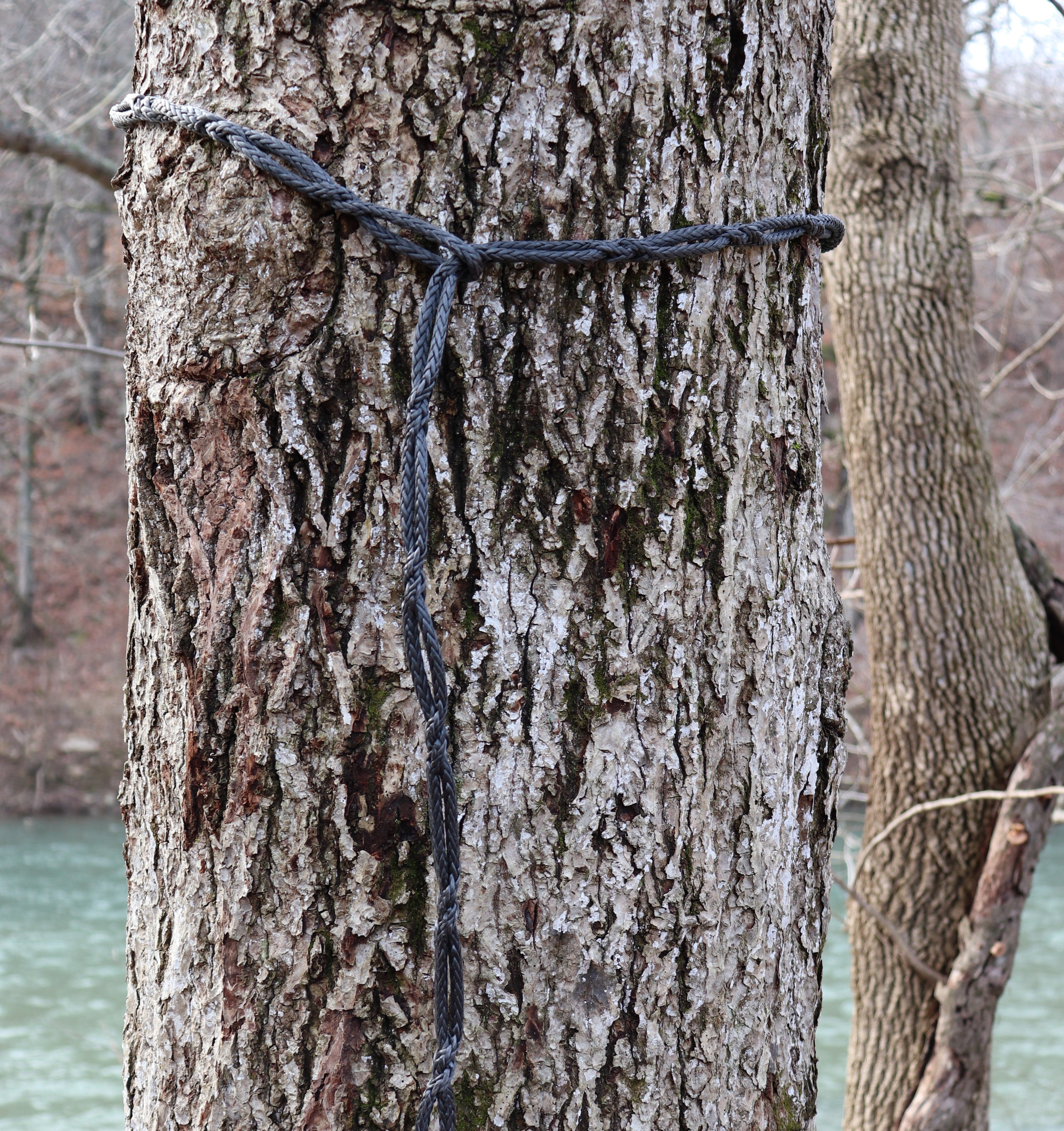 8FT AmSteel® Daisy Tether