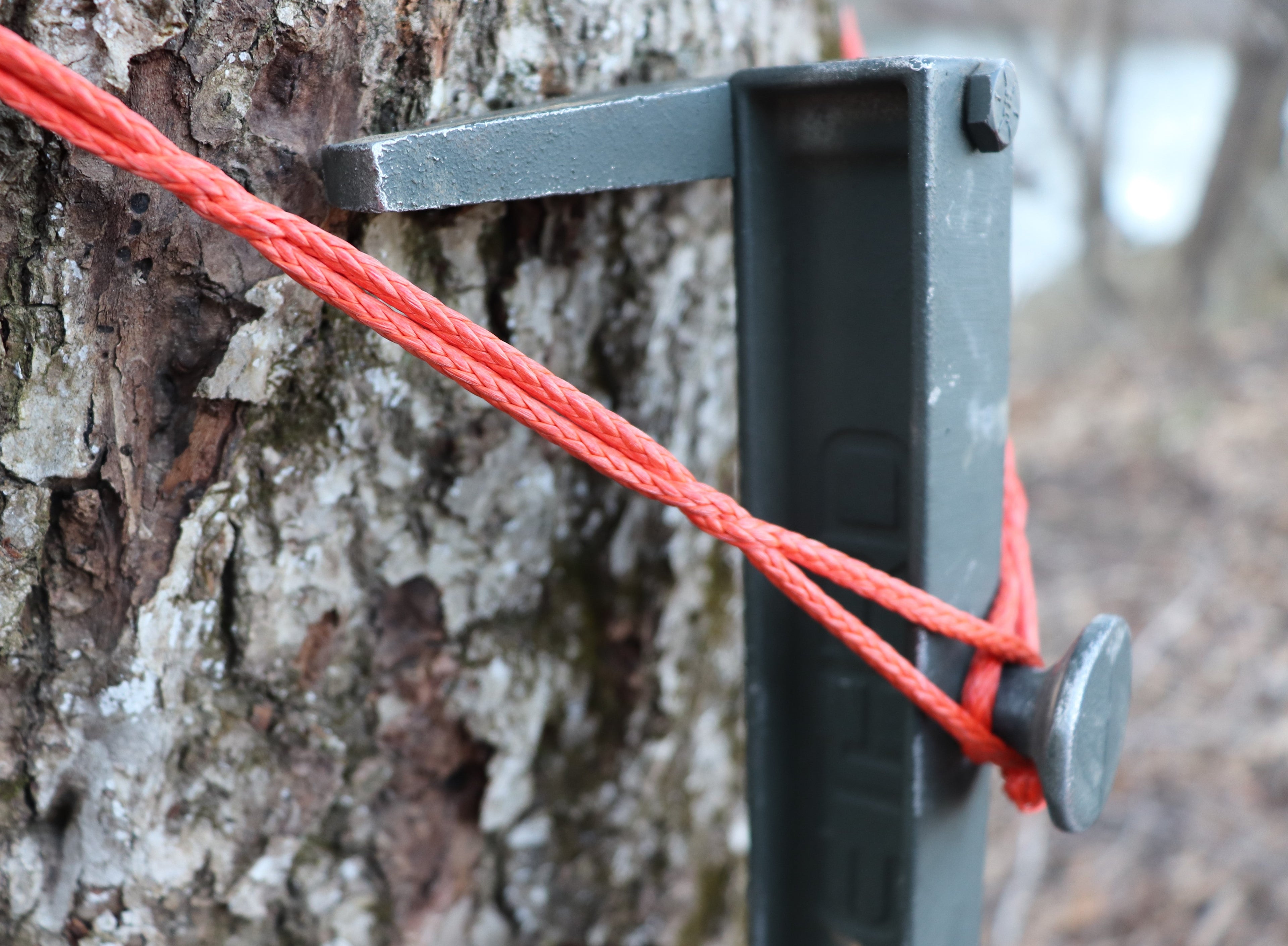 88" 1/8" AmSteel® Daisy Chain
