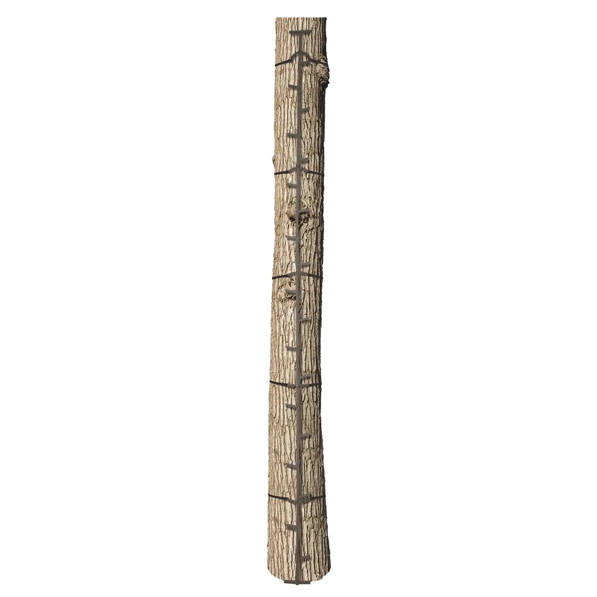 Big Game- Quick Stick 20 Foot Steel Climbing Sticks