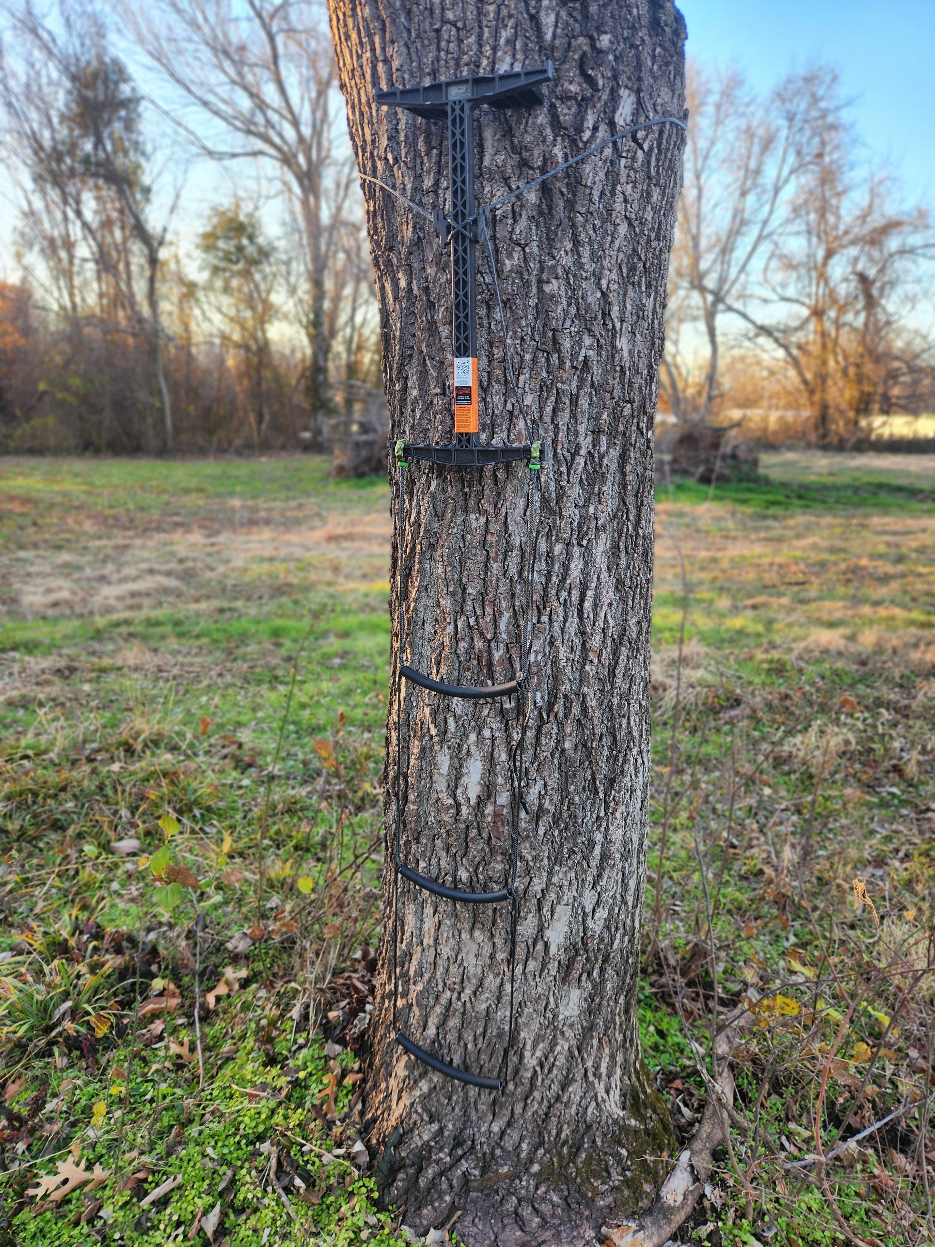 Latitude SS Stick AmSteel® Aider